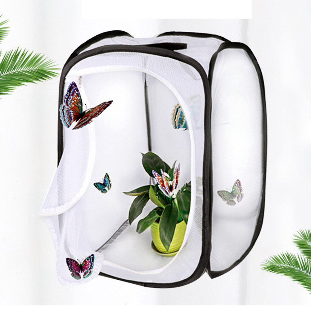 Kids Outdoor Tools - 30x30cm Portable White Insect Habitat Cage