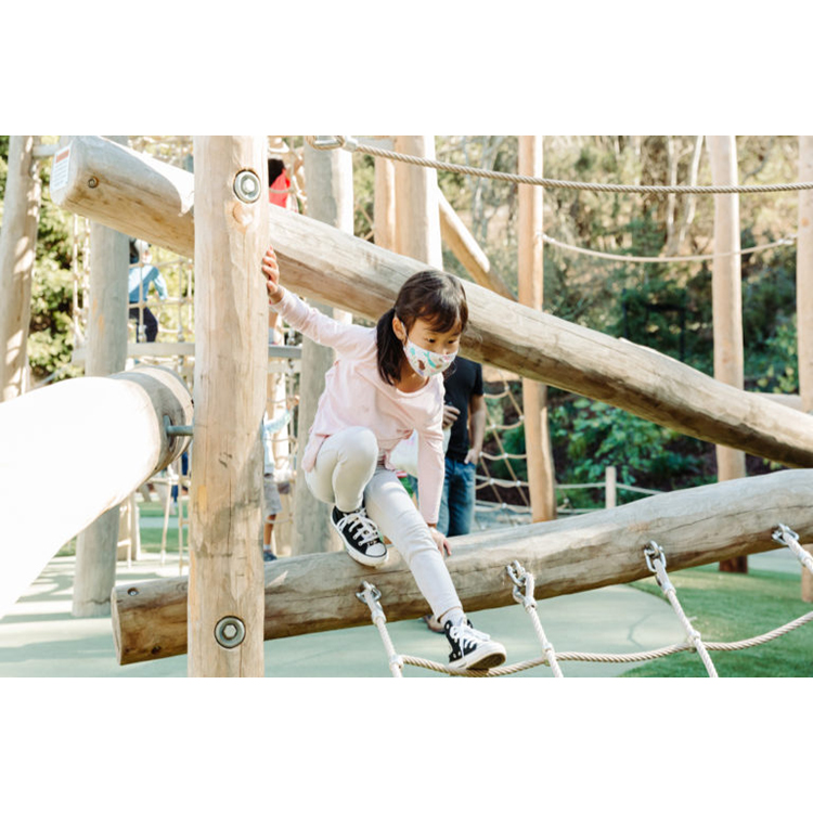 Kids Playground Outdoor Play S - Kids Outdoor Wooden Playset avaliação e preço