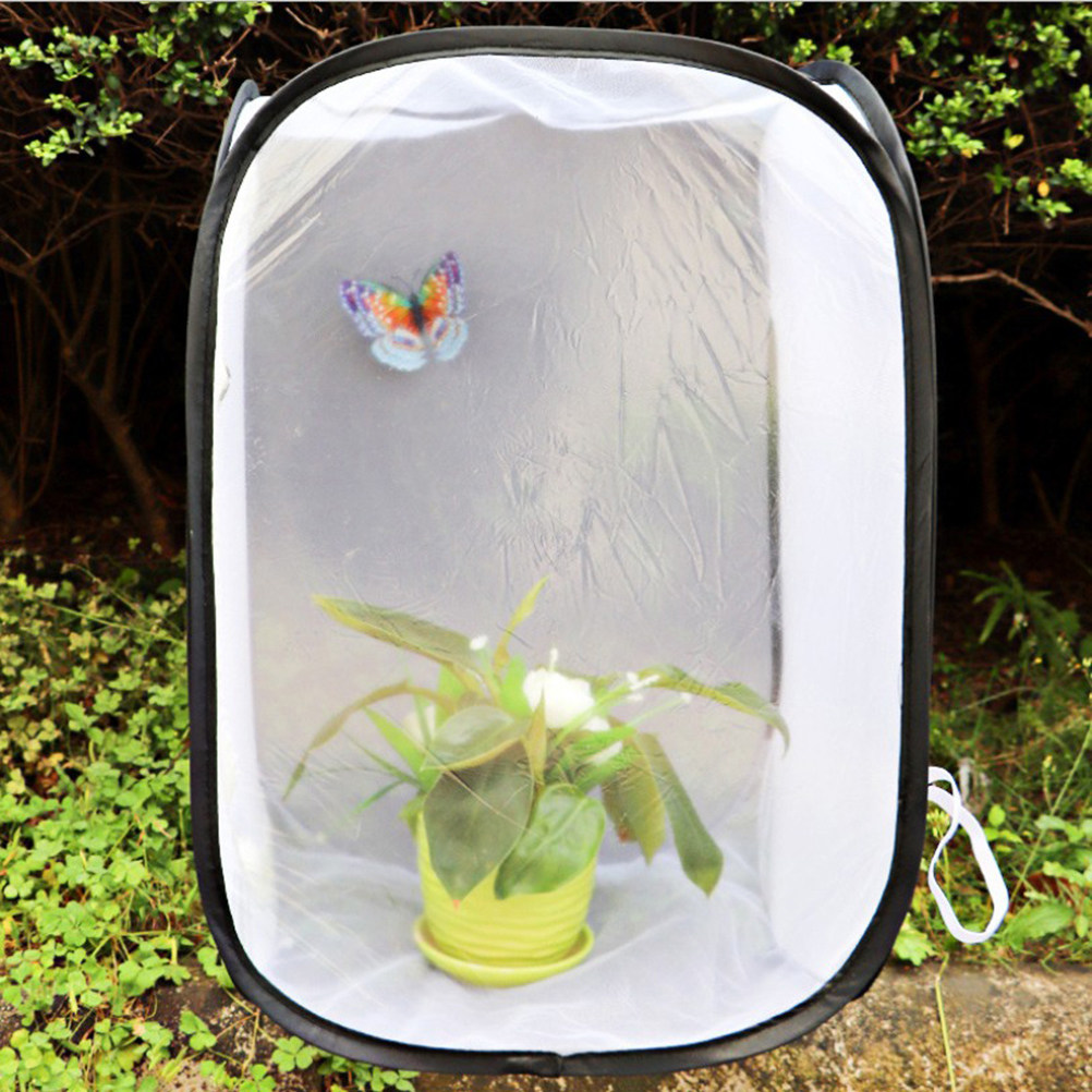 30x30cm Portable White Insect  - Kids Outdoor Tools avaliação e preço