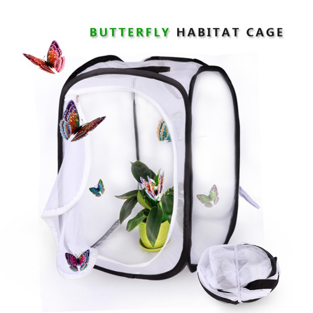 30x30cm Portable White Insect  - Kids Outdoor Tools avaliação e preço